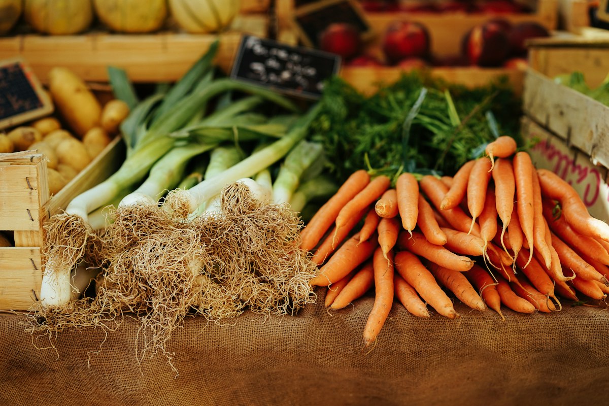 Dairy alternatives and fermented foods